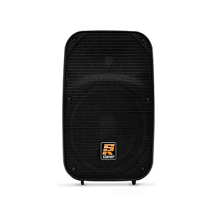 Caixa Ativa 100W Staner SR110A