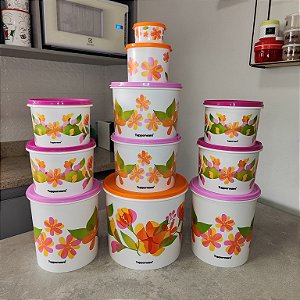 Kit 11 Peças Tupper Caixa Florescencia