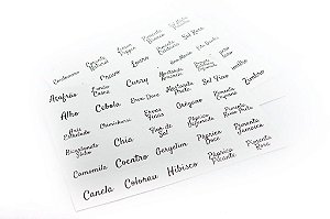 Cartela de Adesivos de Temperos para Kit de Potes