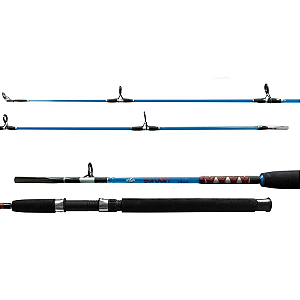 Vara Surubin 1652 1.65m 15-25lb Mol Albatroz