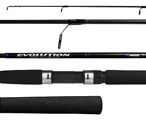 Vara Evolution G3 Evg3-s 581mh 1.73m 15-30lb Mol M