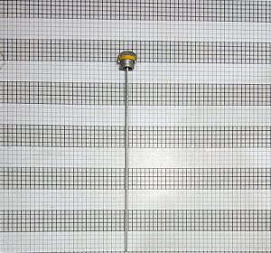 VARETA ÓLEO (GAGE) - LW-14732