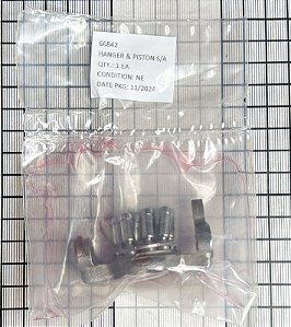 HANGER & PISTON  S/A  - 66842