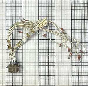 CONECTOR  - MS3112E20-39S     ( SV )