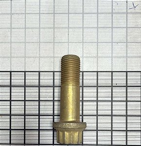 PARAFUSO - MS21250-0814