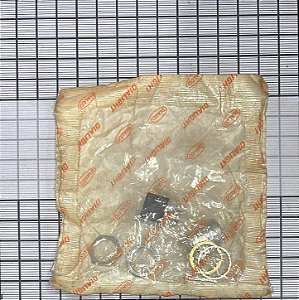 LUZ INDICADORA - 184-9830-5373-604