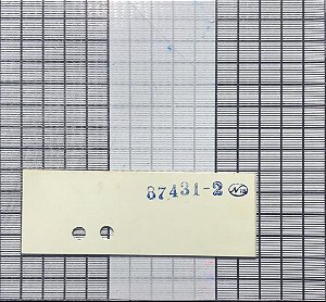PROTETOR - 87431-002