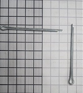 PINO COTLER  - MS24665-361
