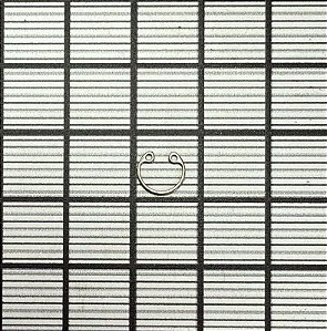 ANEL ELÁSTICO - A8301