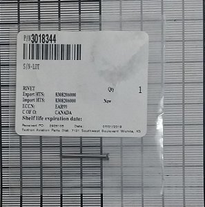 PINO - 3018344