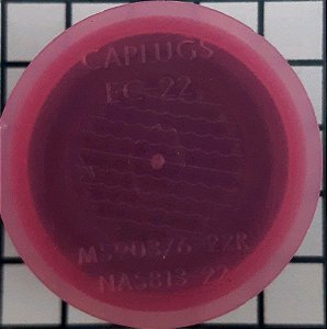 CAPLUGS EC-22  -   MS90376-22R ( NAS813-22)