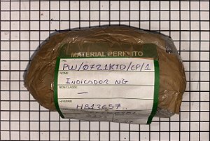 INDICADOR NG - PW/0721KTD/CP/1