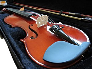 Violino Barth Violin 4/4 Solid Wood + Estojo Bk + Arco + Breu