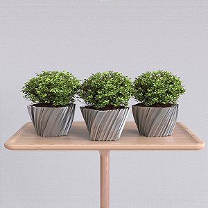 3 Mini Vasos TETRY