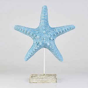 Pedestal Estrela do Mar Azul Grande XH-25