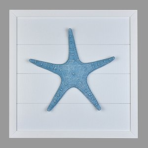 Quadro Estrela Do Mar Azul XG-71
