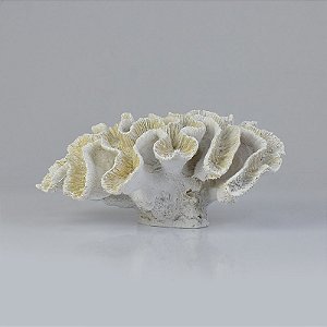 Enfeite Coral 25 cm Branco YU-60 A