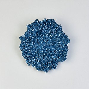 Coral Parede Azul Médio XL-33 D
