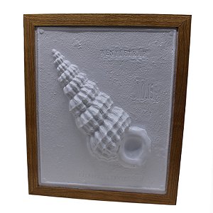 Quadro 3d Concha Caracol XO-64C