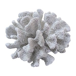 Coral Branco 3D 16Cm TL-33
