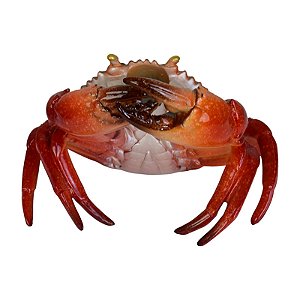 Porta Garrafa De Caranguejo TL-45