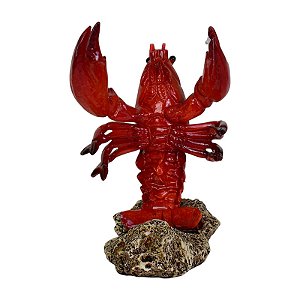 Porta Garrafa De Lagosta Tipo 1 TL-46