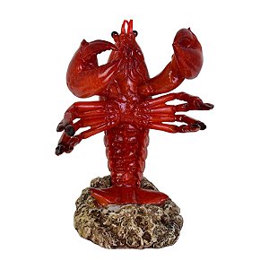 Porta Garrafa De Lagosta Tipo 2 TL-47