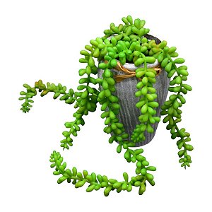 Vaso Com Planta Simulada Cordão De Perolas TM-49