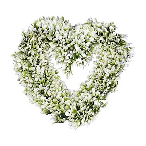 Planta Simulada Coroa De Coração TM-50