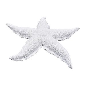 Estrela Do Mar Pontas Curvas Em Resina TM-73