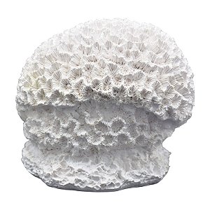 Coral Cerebro Em Resina TM-74
