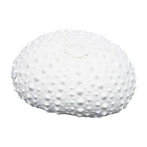 Ouriço Do Mar TM-78