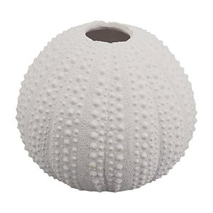 Vaso De Coral Com Textura Médio