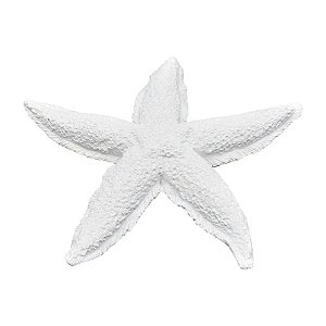 Estrela Do Mar Pontas Curvas Textura TM-95