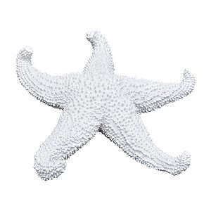 Estrela Do Mar Pontas Curvadas TM-96