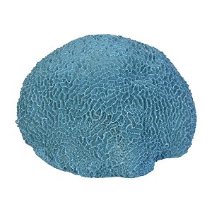 Coral Cerebro Em Resina Azul TM-74B