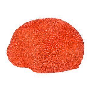 Coral Cerebro Em Resina Vermelha TM-74C