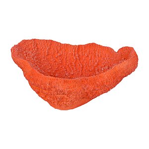 Coral Pedra Branco Em Resina Vermelho TM-77C