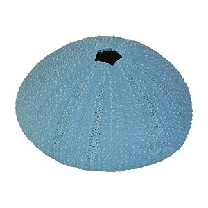 Bola Com Furo De Resina Azul TM-80B