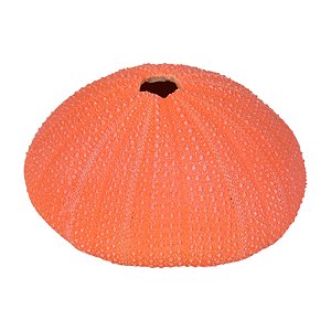 Bola Com Furo De Resina Vermelho TM-80C