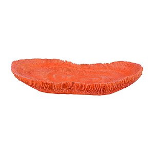 Porta Objeto De Coral Vermelho TM-81C