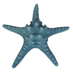 Estrela Do Mar Branco Braço Fino Azul TM-82B