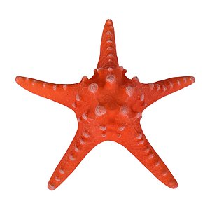 Estrela Do Mar Branco Braço Fino Vermelho TM-82C