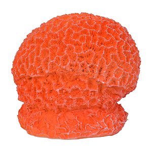 Bola De Coral Cerebro Resina Vermelho TM-85C