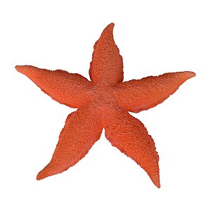 Estrela Pontas Curvas Textura Vermelho TM-95C