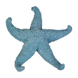 Estrela Do Mar Pontas Curvadas Azul TM-96B