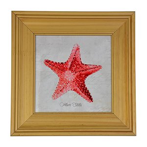 Quadro Estrela Do Mar Vermelha XP-92A