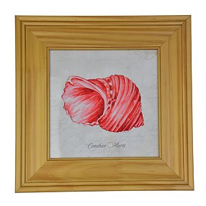 Quadro Concha Vermelha XP-92C