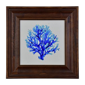 Quadro Coral Marinho Azul XQ-06B