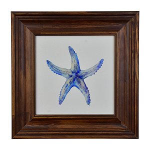 Quadro Estrela Azul XQ-06C